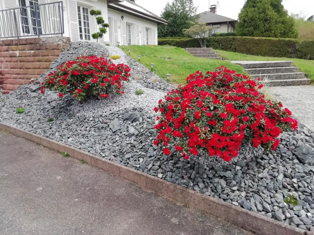 Fleur rouge sur dalle